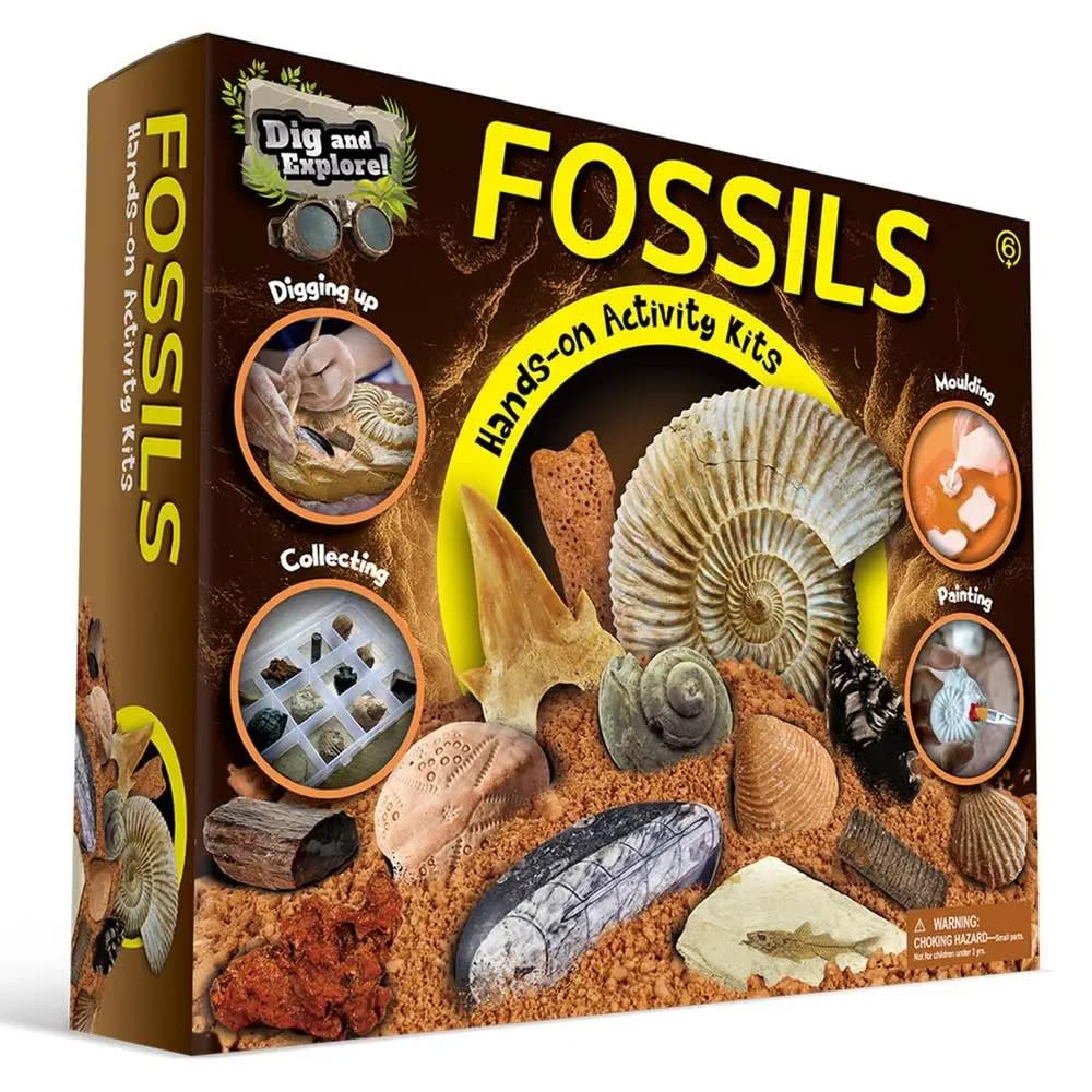 Dinosaur Fossils Excavation Kit - Educational Archeology Toy Set for Kids